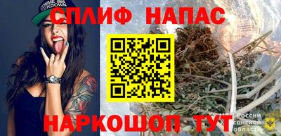 apvp Кингисепп