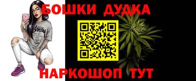 шишки Канаш