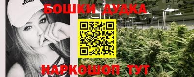 шишки Канаш