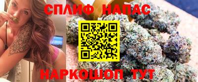 шишки Канаш