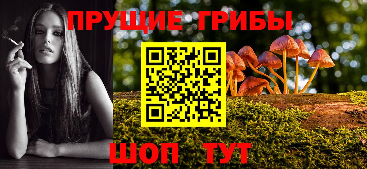 Псилоцибиновые грибы Cubensis Лабинск