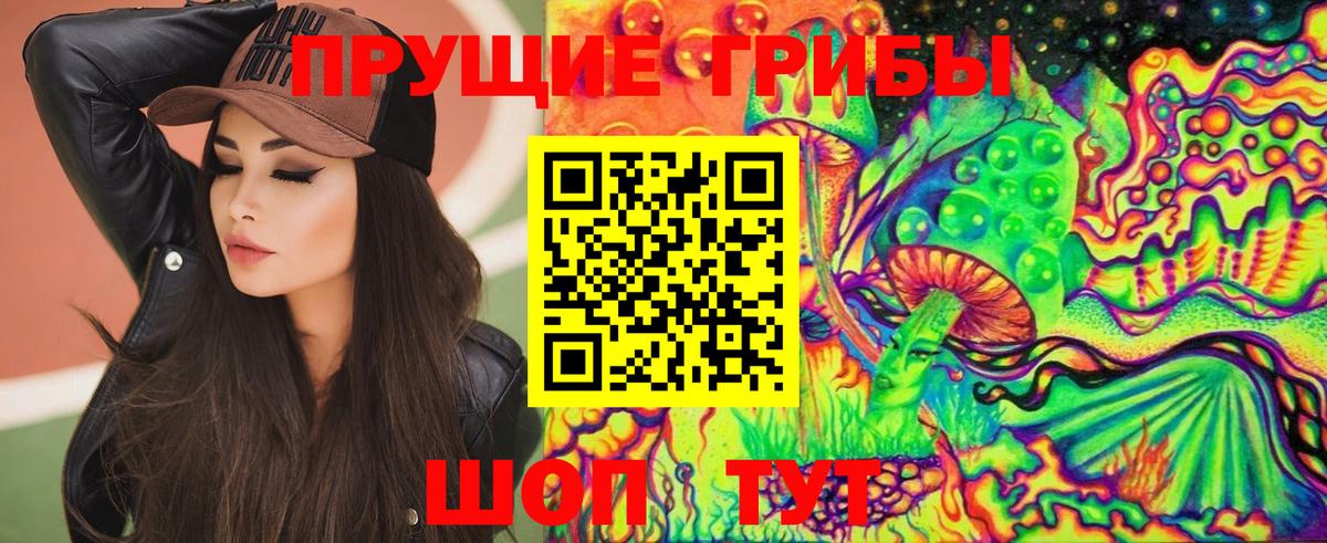 Лабинск  Галлюциногенные грибы Cubensis  Вход с VPN 